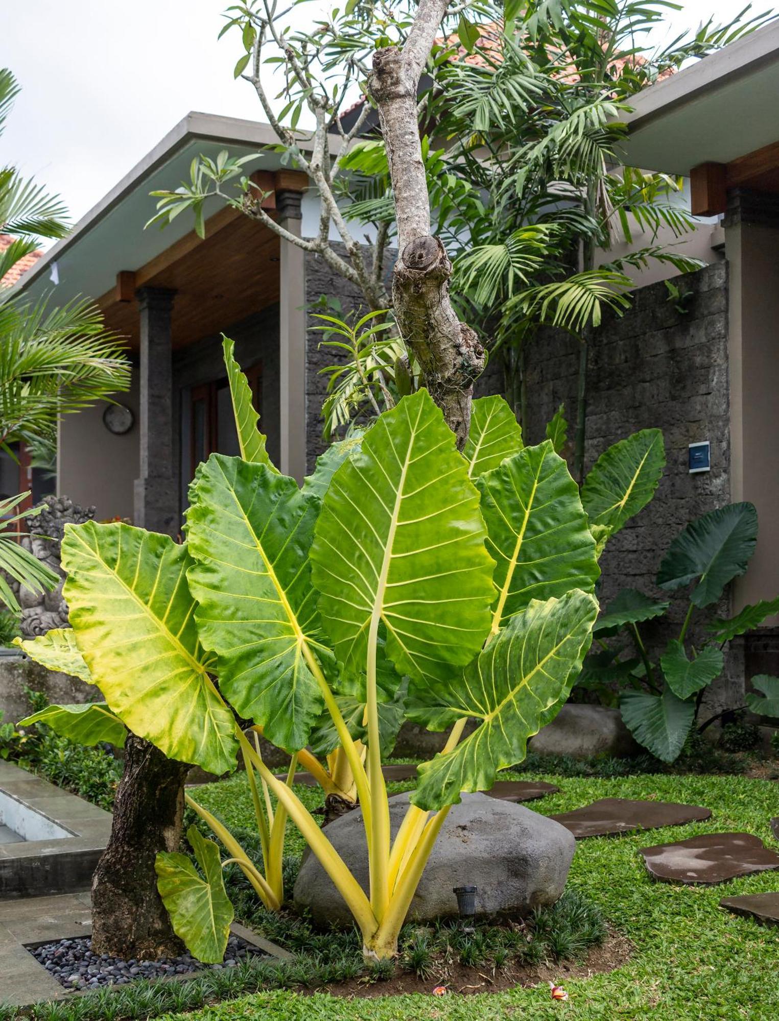 Royal Cottage Private Villa Убуд Экстерьер фото